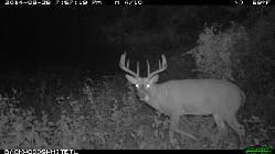 Illinois Whitetail Outfitters