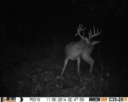 Backwoods Bowhunting