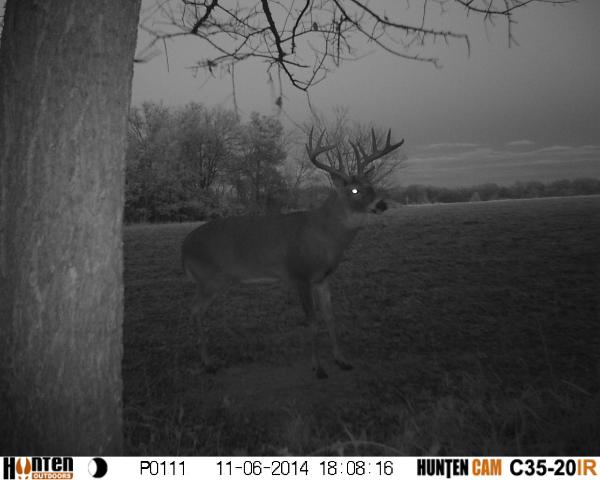 Archery Whitetail hunts