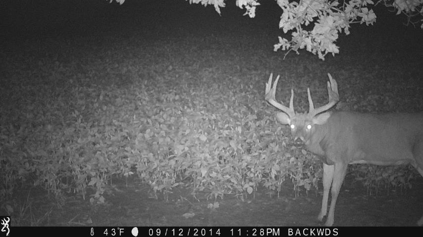 Pike County Whitetail Outfitters